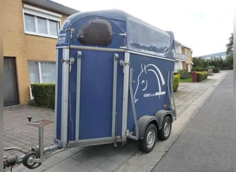 Cheval Liberté, ein und ein halbes Pferd