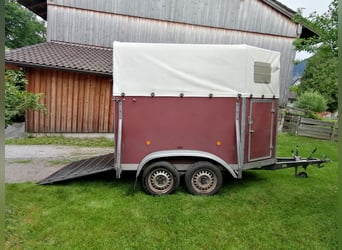 Anhänger Böckmann, 1,5 Pferde, gebraucht, guter Zustand, TÜV neu