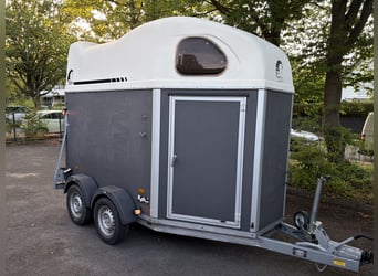 Cheval Liberté Gold Top Zustand