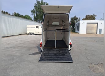 Mustang Pferdeanhänger – Baujahr/Erstzulassung 1997 – GFK/Sandwich-Polyester – Bastlerobjekt