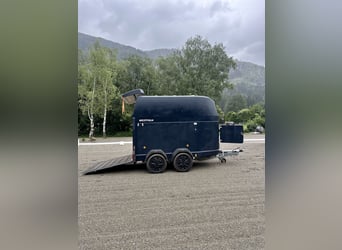 Top Westfalia Jupiter 2-Pferdeanhänger - Generalüberholt, NEUER Boden & Pickerl bis 04/27!