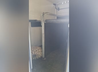 Westfalia Jupiter Pferdeanhänger für 2 Pferde