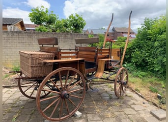 3 koetsen te koop: jacht koets, Marathon wagen & een sjees.