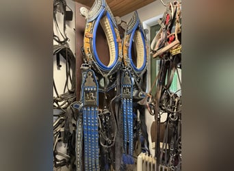 mehrere Haflinger Kutschengeschirre gebraucht