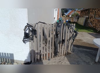 Ponygeschirr / Brustblattgeschirr inkl. Kopfstück, Fahrgeschirr Einspänner