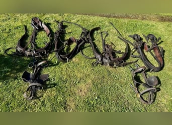 Zweispänner Brustblattgeschirr  zum verkaufen 