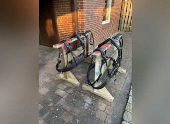Zweispänner Geschirr 