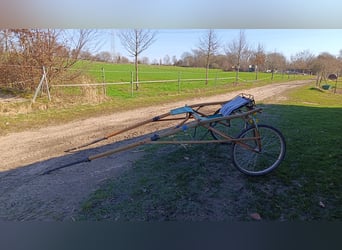 Sulky inkl. Geschirr