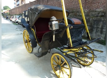 CARROZZA CAVALLI fine 1800