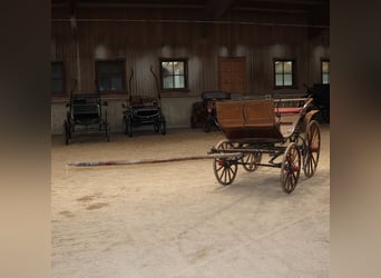 Gäuwägerl Originalzustand Ein/Zweispänner Historische Kutsche