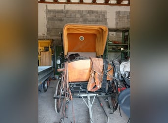 Jagdkutsche