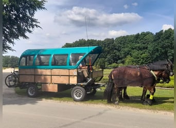 Planwagen, Sonderanfertigung