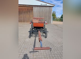 Dressurkutsche für Ponys