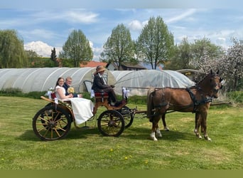 Hochzeitskutsche
