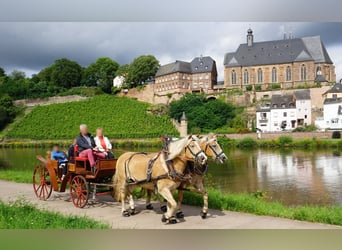 Jagdwagen, offene naturholzfarbende Kutsche,  Hochzeitskutsche