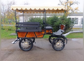 Neue Wagonette m. E-Anlage/Dach