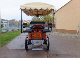 Neue Wagonette m. E-Anlage/Dach