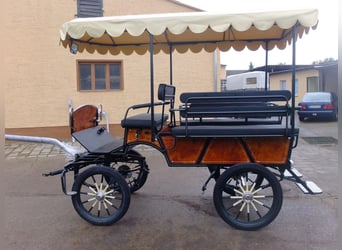 Neue Wagonette m. E-Anlage/Dach