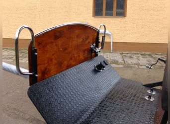 Neue Wagonette m. E-Anlage/Dach