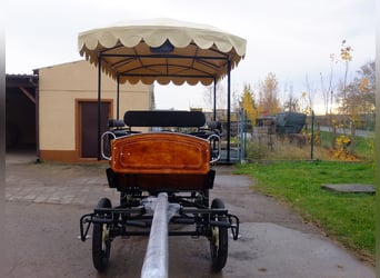 Neue Wagonette m. E-Anlage/Dach