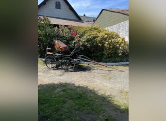 Rombach Kutschen zum verkaufen 