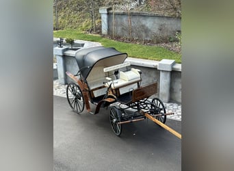 Viktorija Carriage 