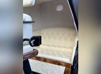Viktorija Carriage 
