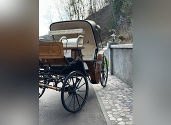 Viktorija Carriage 