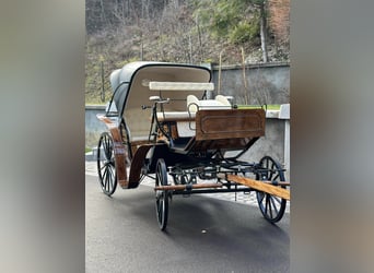 Viktorija Carriage 