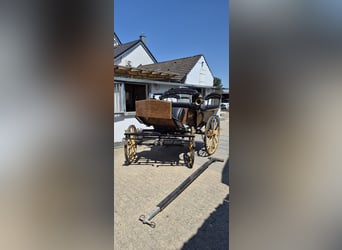 Wagonette Großpferde