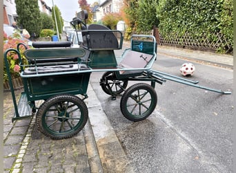 Kutsche, Einspänner