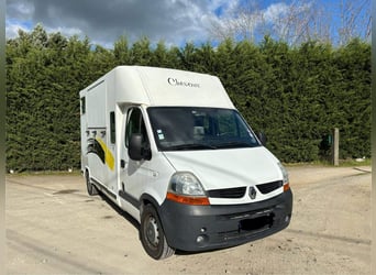 Camion VL cavalli  Renault Master