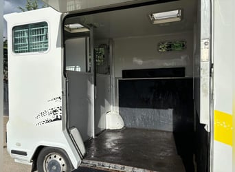 Camion VL cavalli  Renault Master