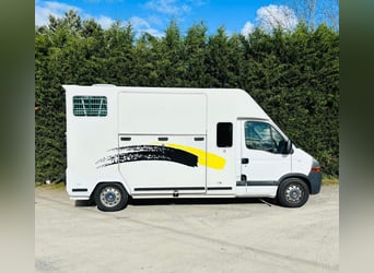 Camion VL cavalli  Renault Master