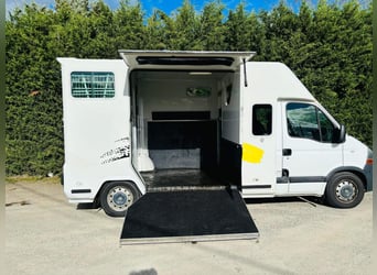 Camion VL cavalli  Renault Master