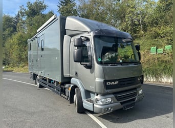 DAF Pferdetransporter, 5 Pferde, Wohnabteil, zGG 11.990 kg, EHC GERMAN COACHBUILDERS