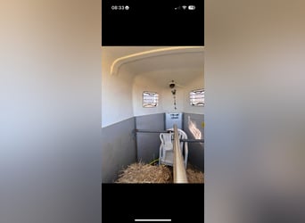 Goed onderhouden 2 paards trailer met apk elk jaar en vaak onderhoudscontrole gehad! 