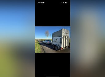 Goed onderhouden 2 paards trailer met apk elk jaar en vaak onderhoudscontrole gehad! 