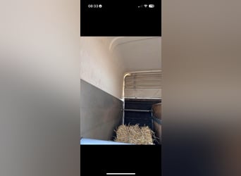 Goed onderhouden 2paards trailer elk jaar apk en onderhoudscontrole gehad ! 