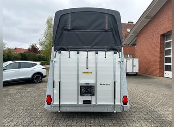 Humbaur Pferdeanhänger Pegasus 2400 2,4t Sattelkammer 100km/h Black Hecktür schwenkbar