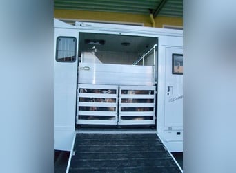 JL 7,5#49 T IVECO Eurocargo Pferde LKW von Georg Jach Fahrzeuge