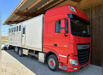 DAF Pferdetransporter mit Wohnabteil