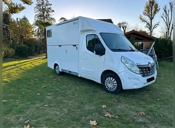 Kleintransporter für den Pferdetransport, geeignet für 2 Pferde, mit Stallkonfiguration Master