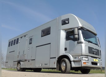MAN 15.280 Gimmel 5 Pferdetransporter Wohnung WC Dusche LKW