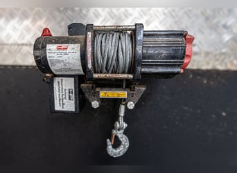 MAN TGL 8.180 Pferdetransporter