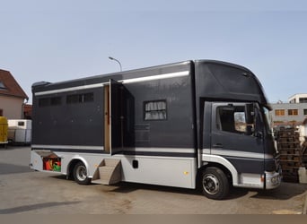 Mercedes-Benz Atego Pferdetransporter für 4 Pferde, schön eingerichteten Wohnraum