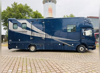 Pferde-LKW / Wohnmobil - Mercedes Atego -3 Pferde