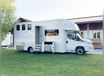 Pferdetransporter 7,5t 3 Pferde /Wohnung Iveco Daily 210PS Automatik Wohnmobil Viehtransporter