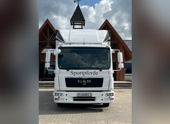 Pferdetransporter für 4 Pferde MAN TGL 8.180