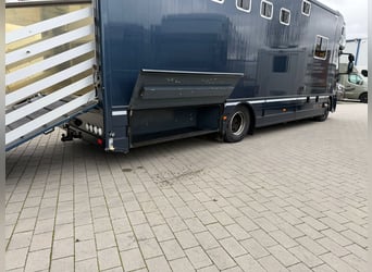 PFERDETRANSPORTER IVECO 15.280 EHC